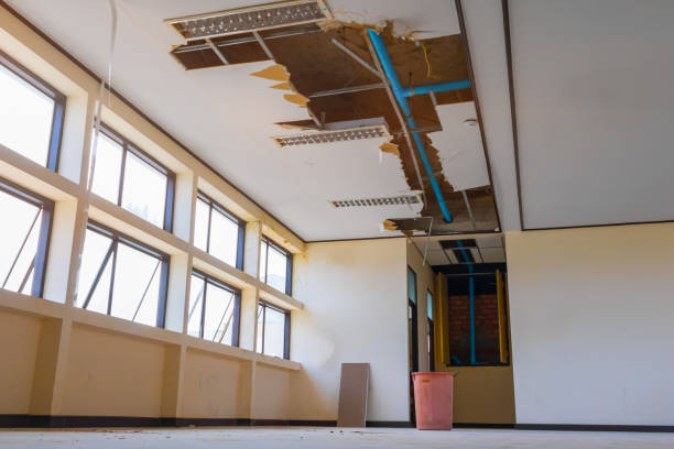 Best Ceiling water damage repair  in Liberty, PA