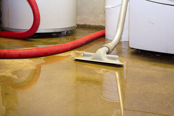 Best Water damage restoration near me  in Liberty, PA