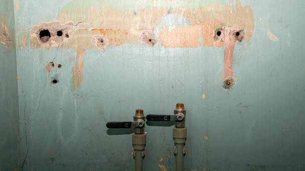 Best Basement water damage restoration  in Liberty, PA