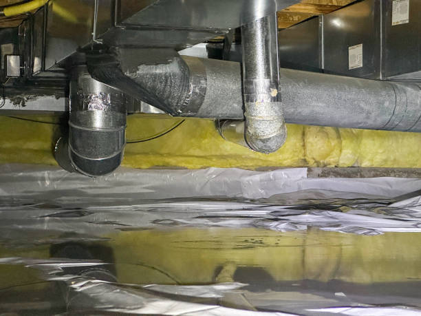 Best Fire Damage Restoration  in Liberty, PA