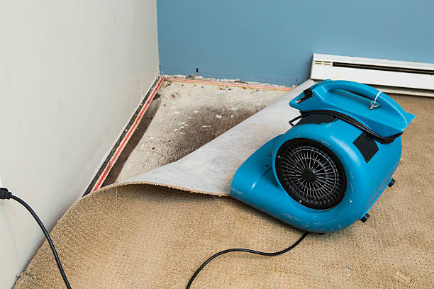 Best Water damage restoration near me  in Liberty, PA